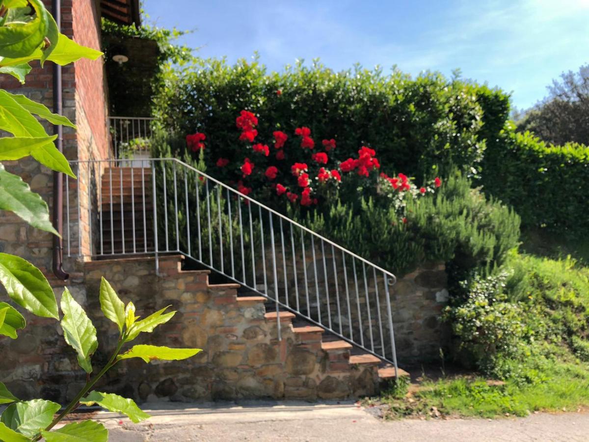 Chille Villa Capannori Kültér fotó